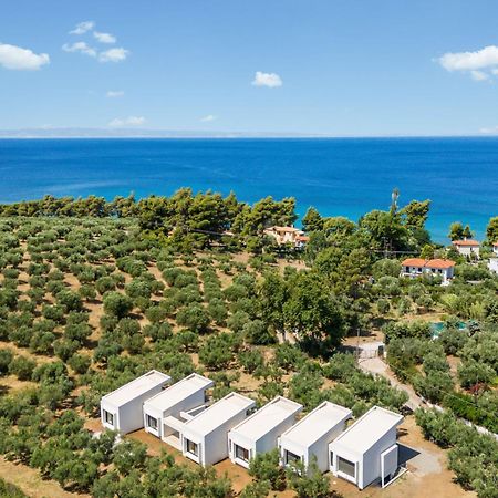 Olea Villas By Halu!, Cozy Villa In Nikiti Lagomandra Exterior foto