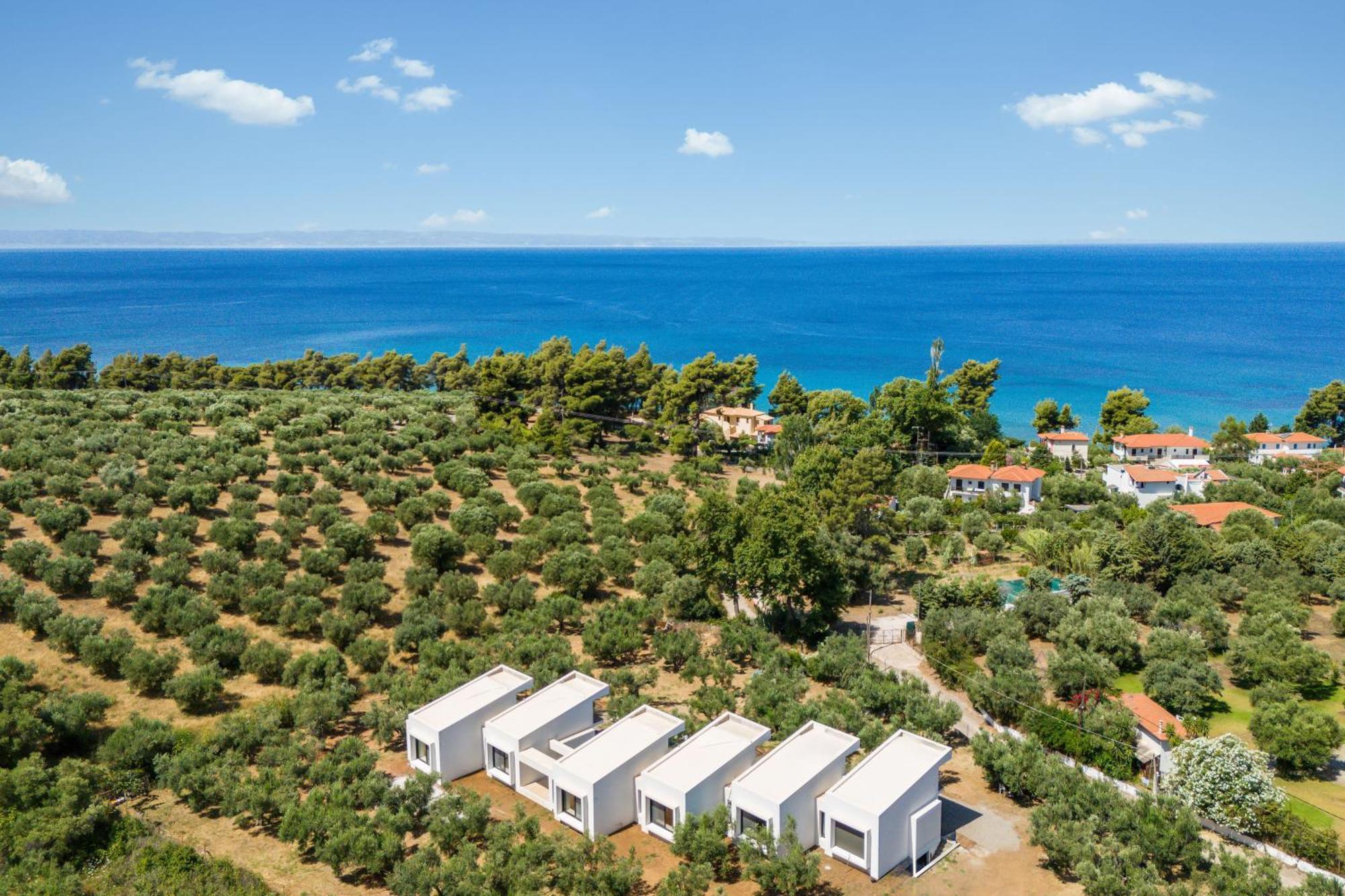 Olea Villas By Halu!, Cozy Villa In Nikiti Lagomandra Exterior foto