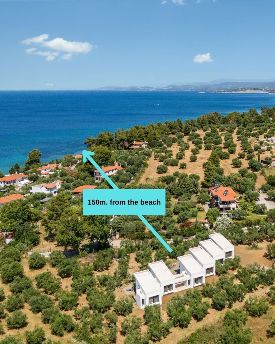 Olea Villas By Halu!, Cozy Villa In Nikiti Lagomandra Exterior foto
